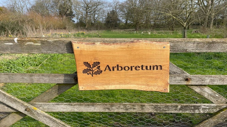 Arboretum